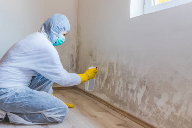 Mold Remediation specialist working in Manasquan
