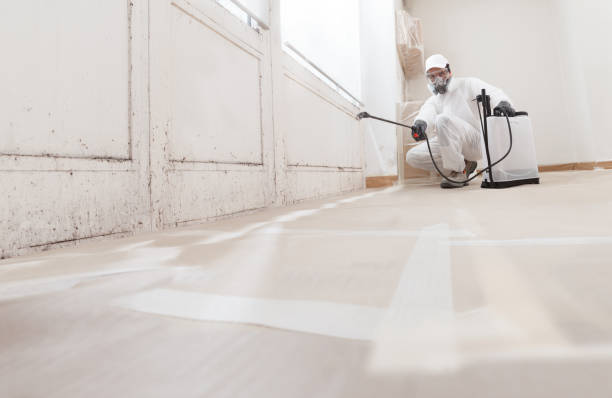 Black mold remediation team in Manasquan
